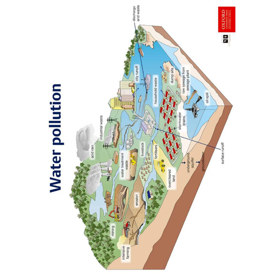 Poster (Natural Sciences and Technology): Water pollution - ISBN 9780190414085