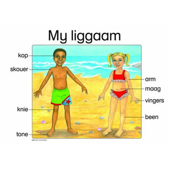 My Ligaam - ISBN 9781431040353