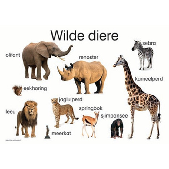 Wilde Diere - ISBN 9781431040537