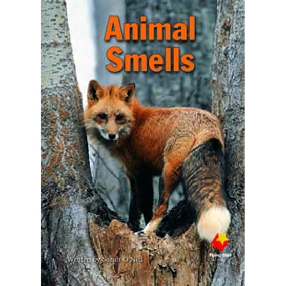 Flying Start Animal Smells L14 - ISBN 9781742340968