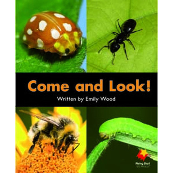 Flying Start Come and Look! L2 - ISBN 9781742340227