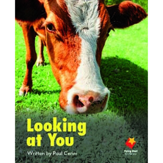 Flying Start Looking at You L2 - ISBN 9781742340128