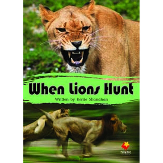 Flying Start When Lions Hunt L15 - ISBN 9781743209035