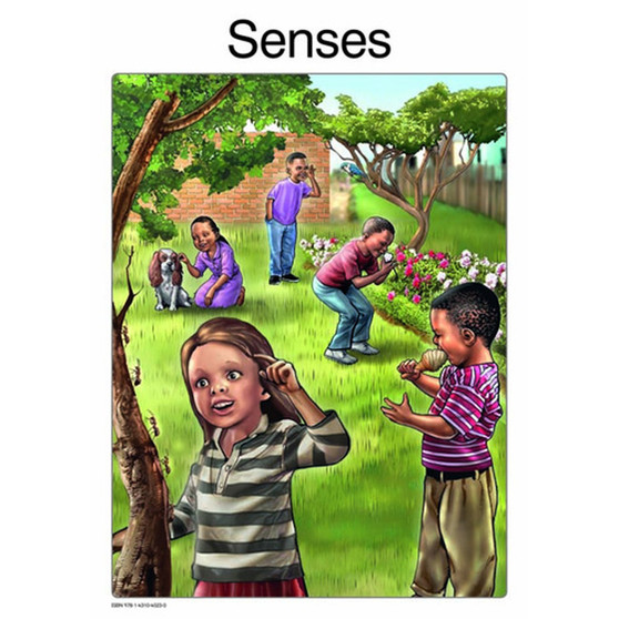 Senses - ISBN 9781431040230