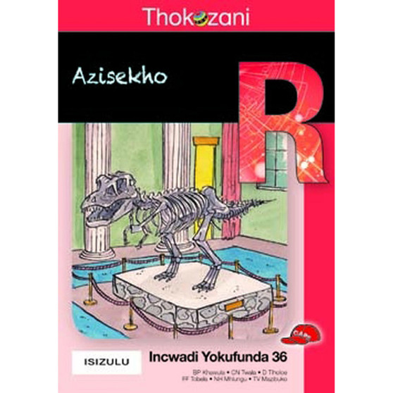 Tkz Azisekho Zulu Grade R Rd36 - ISBN 9781431028986
