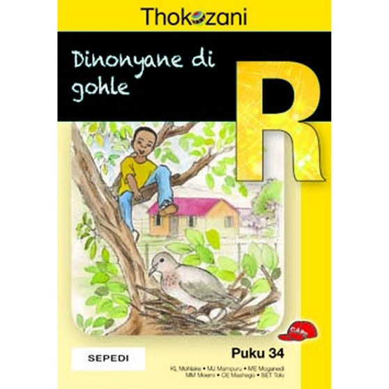 Tkz Dinonyane Di Gohle Sepedi Gr R Rd34 - ISBN 9781431030798