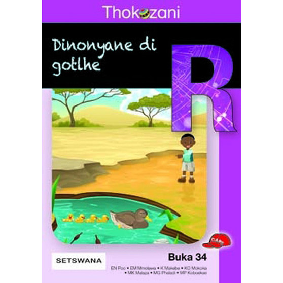 Thokozani Mophato R Buka 34: Dinonyane Di Gotlhe - ISBN 9781431031405