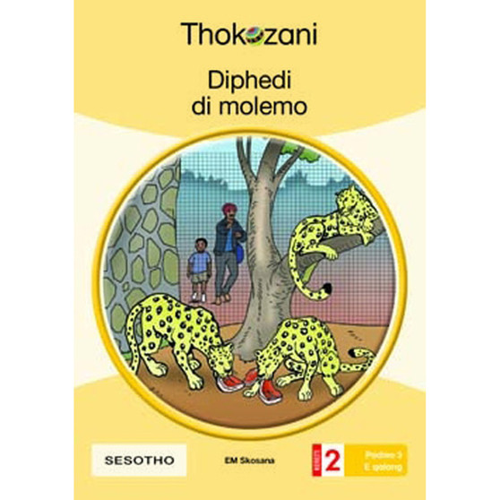 Diphedi Di Molemo - Grade 2 - ISBN 9781431053681