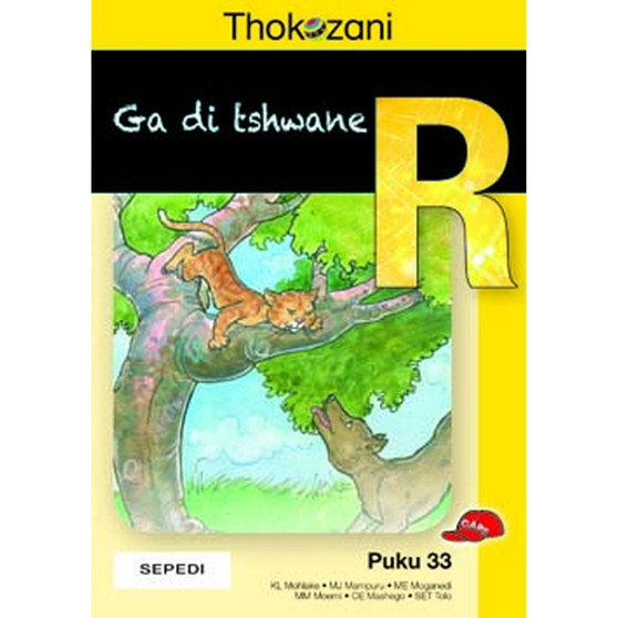 Thokozani Mphato R Puku 33: Ga Di Tshwane - ISBN 9781431039913