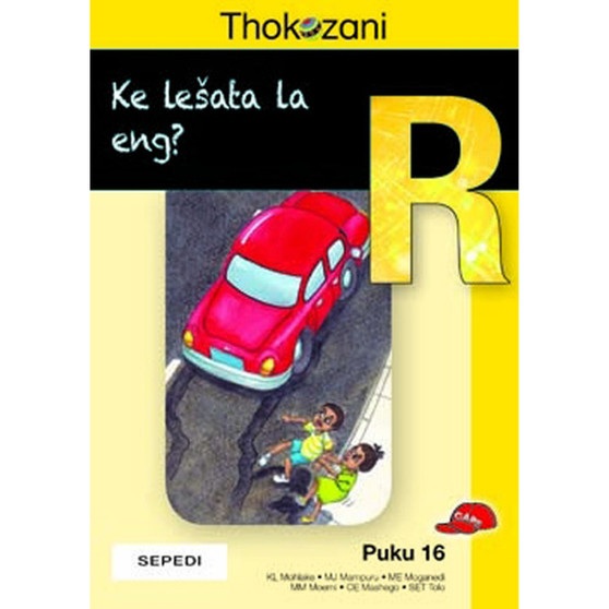 Thokozani Mphato R Puku 16: Ke Lešata La Eng? - ISBN 9781431030644
