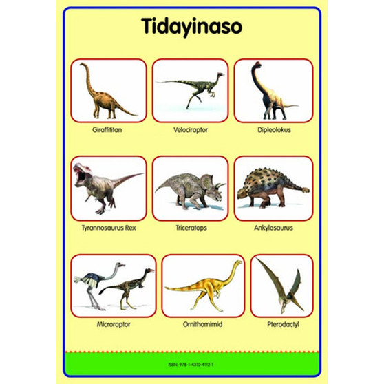 Tinhlamula Ta Hinkwaswo Xitsonga Giredi R Poster: Tidayinaso - ISBN 9781431041121