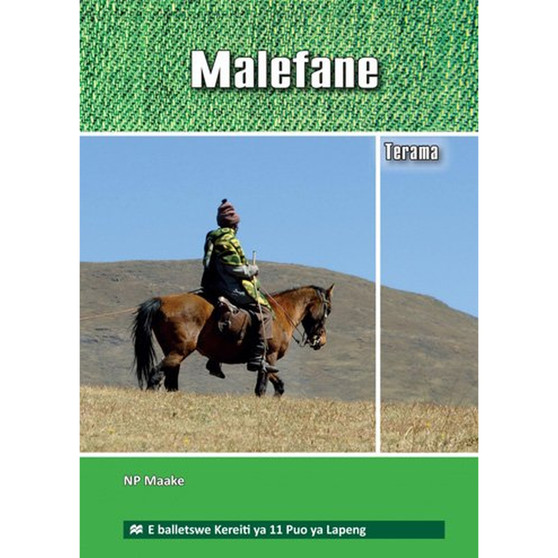 DIGITAL - Malefane eBook (1 Year Licence) - ISBN 9781431046607
