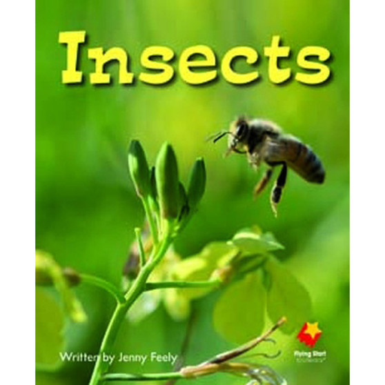 Flying Start Insects L7 - ISBN 9781742340487