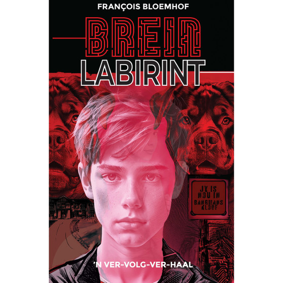 Breinlabirint - ISBN 9780637008006