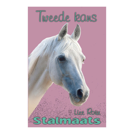 Stalmaats 21: Tweede kans - ISBN 9780799389432