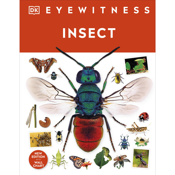 Insect - ISBN 9780241617311