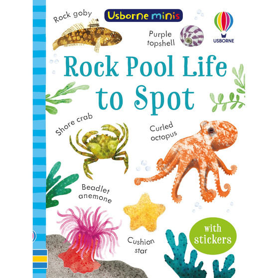 Rock Pool Life to Spot - ISBN 9781803704753