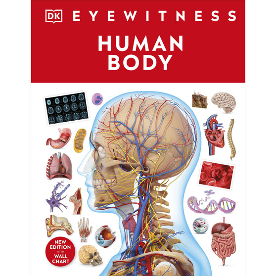 Human Body - ISBN 9780241617175