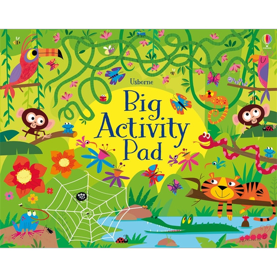 Big Activity Pad - ISBN 9781801316590