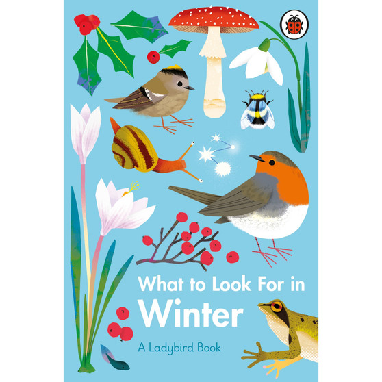 What to Look For in Winter - ISBN 9780241416228