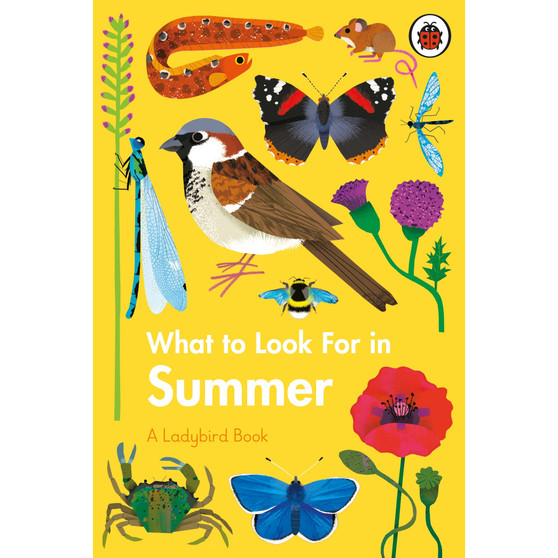 What to Look For in Summer - ISBN 9780241416204