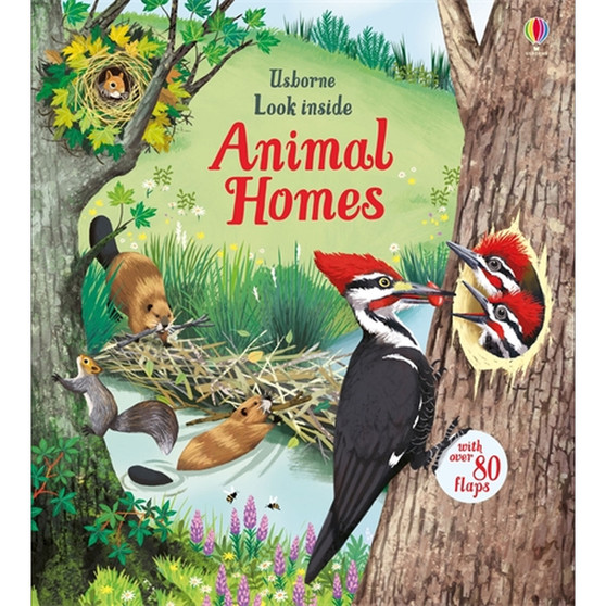 Look Inside Animal Homes - ISBN 9781474942928