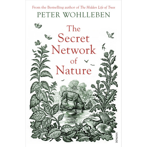 The Secret Network of Nature - ISBN 9781784708498
