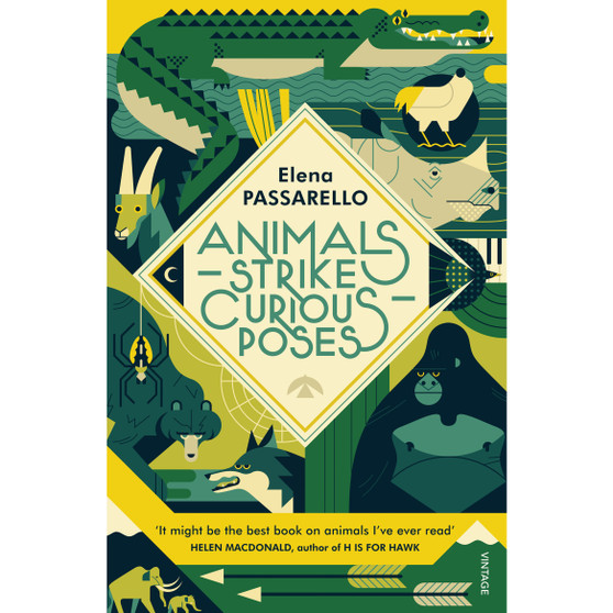 Animals Strike Curious Poses - ISBN 9781784707354