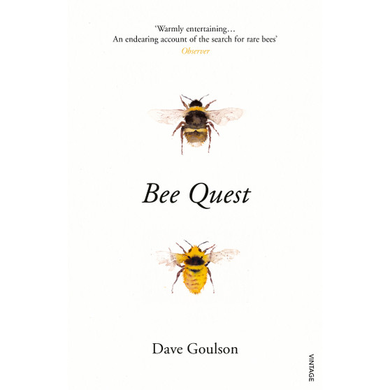 Bee Quest - ISBN 9781784704803