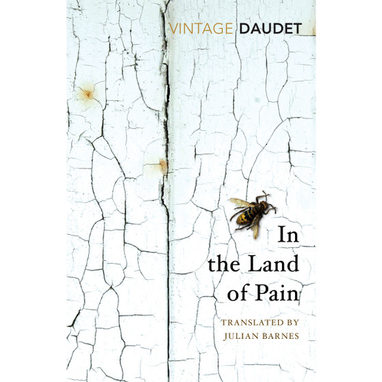In the Land of Pain - ISBN 9781784873455