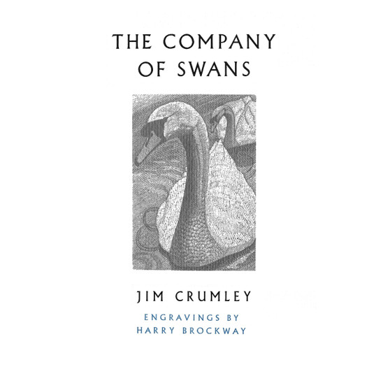 The Company of Swans - ISBN 9781787300620