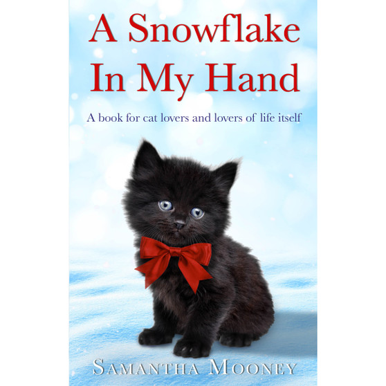 A Snowflake In My Hand - ISBN 9780552167796