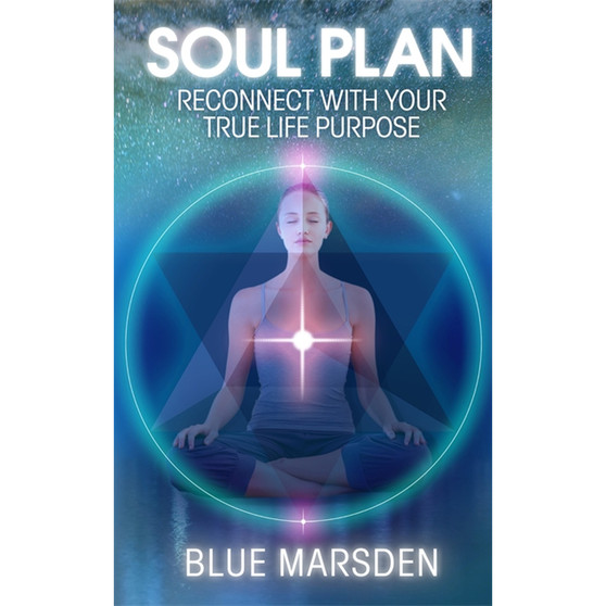 Soul Plan - ISBN 9781781800768