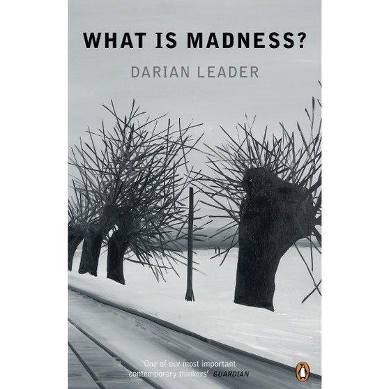What is Madness? - ISBN 9780141047355