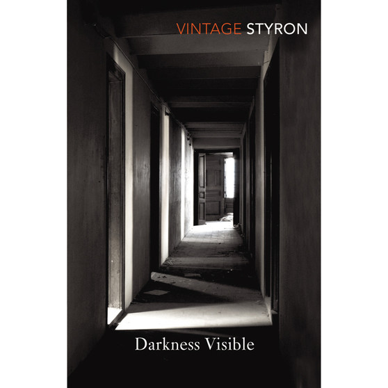 Darkness Visible - ISBN 9780099285571