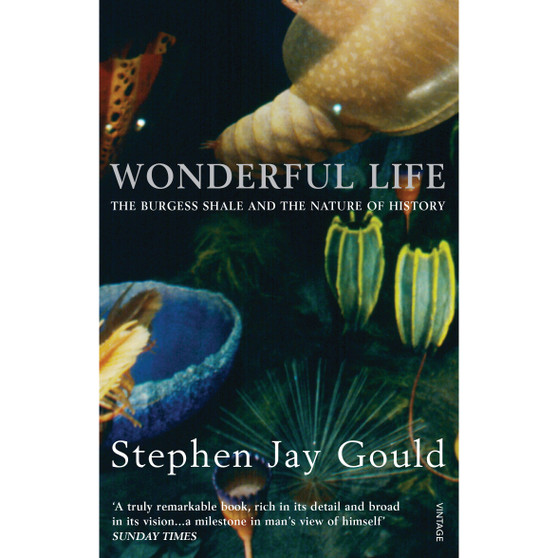 Wonderful Life - ISBN 9780099273455