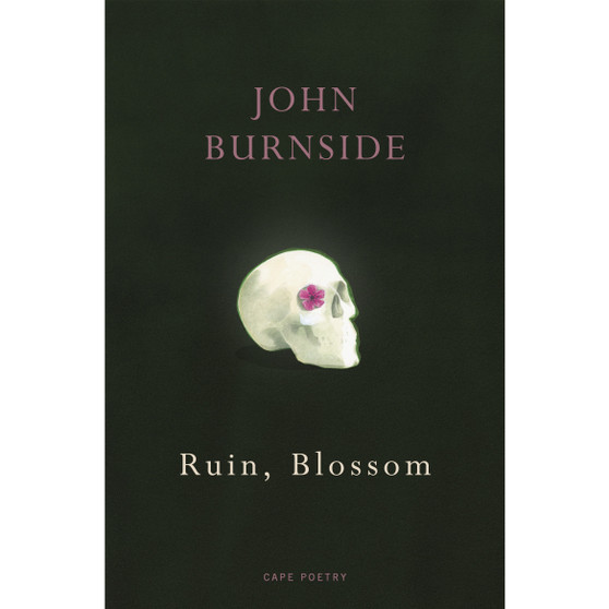 Ruin, Blossom - ISBN 9781529909258
