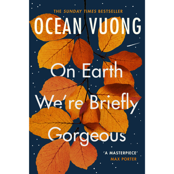 On Earth We're Briefly Gorgeous - ISBN 9781529110685