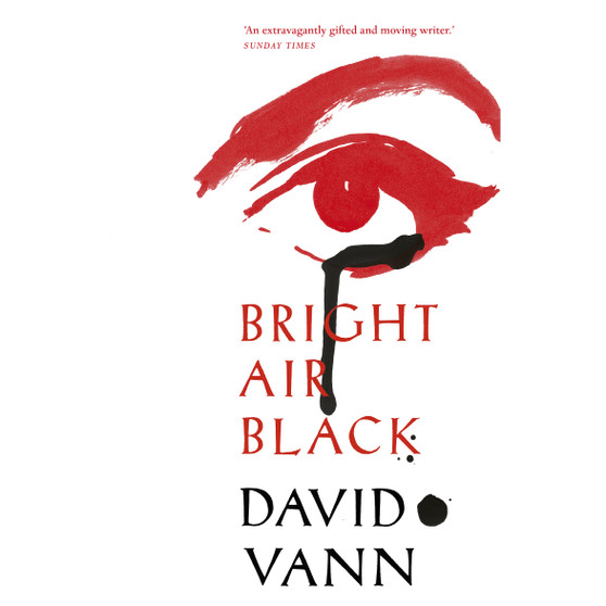 Bright Air Black - ISBN 9780099592266