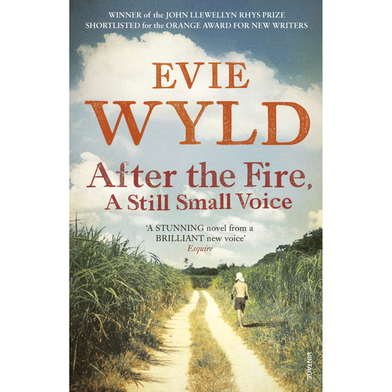 After the Fire, A Still Small Voice - ISBN 9780099535836