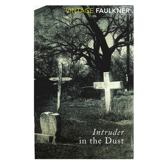 Intruder in the Dust - ISBN 9780099740315