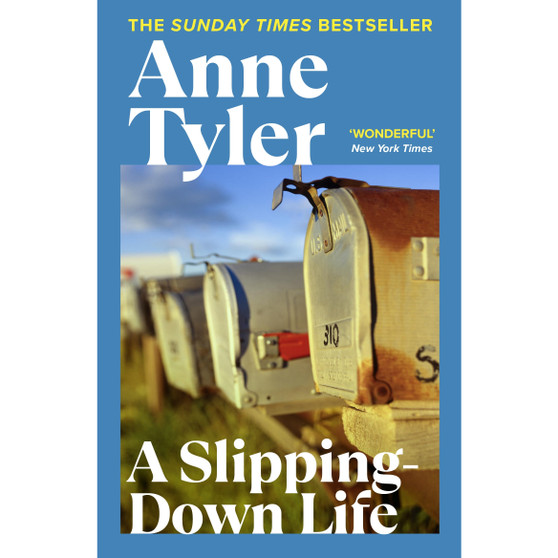 A Slipping Down Life - ISBN 9780099517504