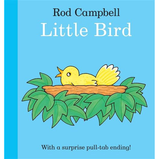 Little Bird - ISBN 9781035000241