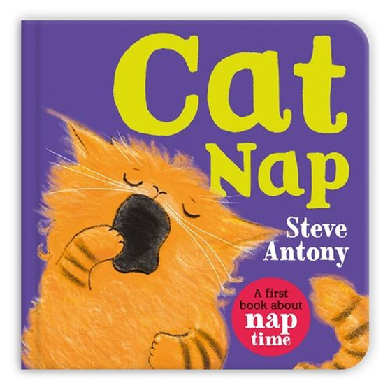 Cat Nap - ISBN 9781035029037