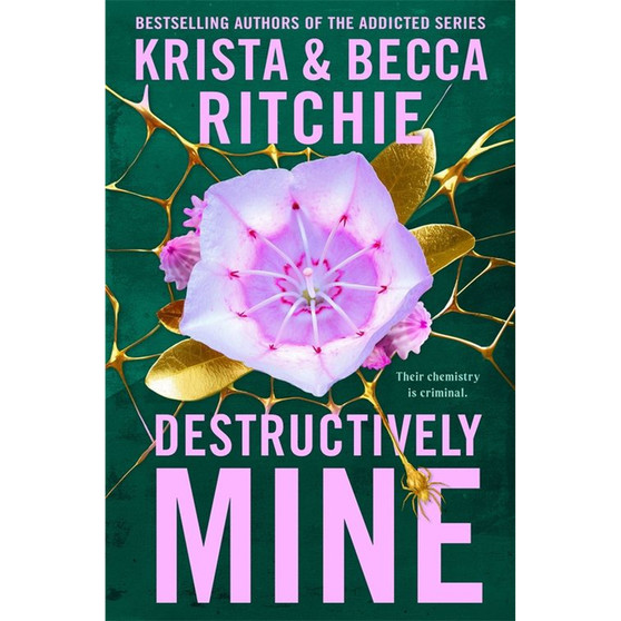 Destructively Mine - ISBN 9781035025114