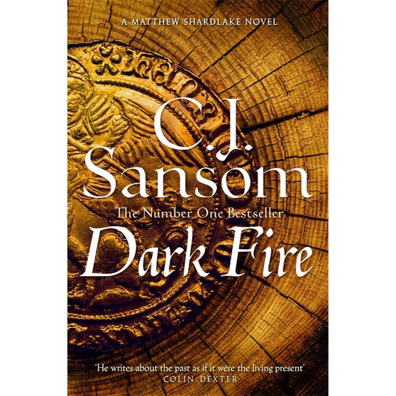 Dark Fire - ISBN 9781035012305