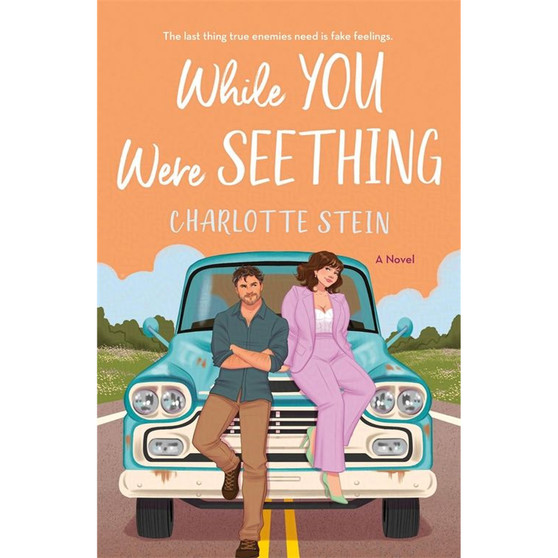 While You Were Seething - ISBN 9781035038190