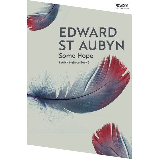 Some Hope - ISBN 9781035063574