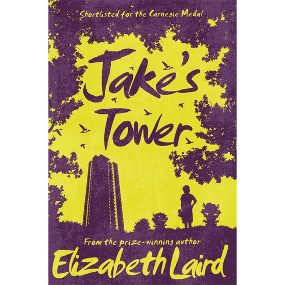Jake's Tower - ISBN 9781509826711