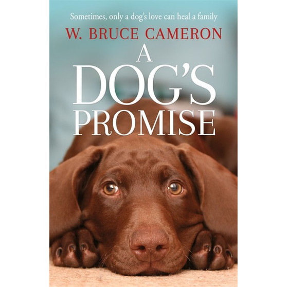 A Dog's Promise - ISBN 9781529010084